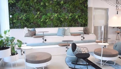 Artificial Indoor Greenery